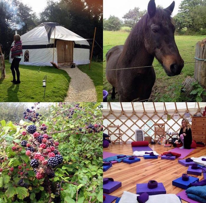 yoga in the yurt