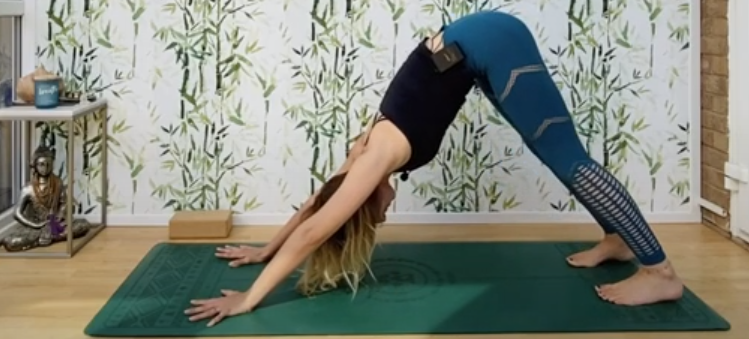 Bryony Adamson - Yoga For Flexibility - Yoga For All