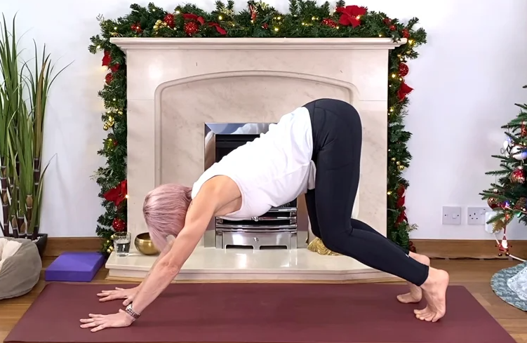 Olga Oakenfold - Taking Care of Your Back with Good Alignment throughout the Practice