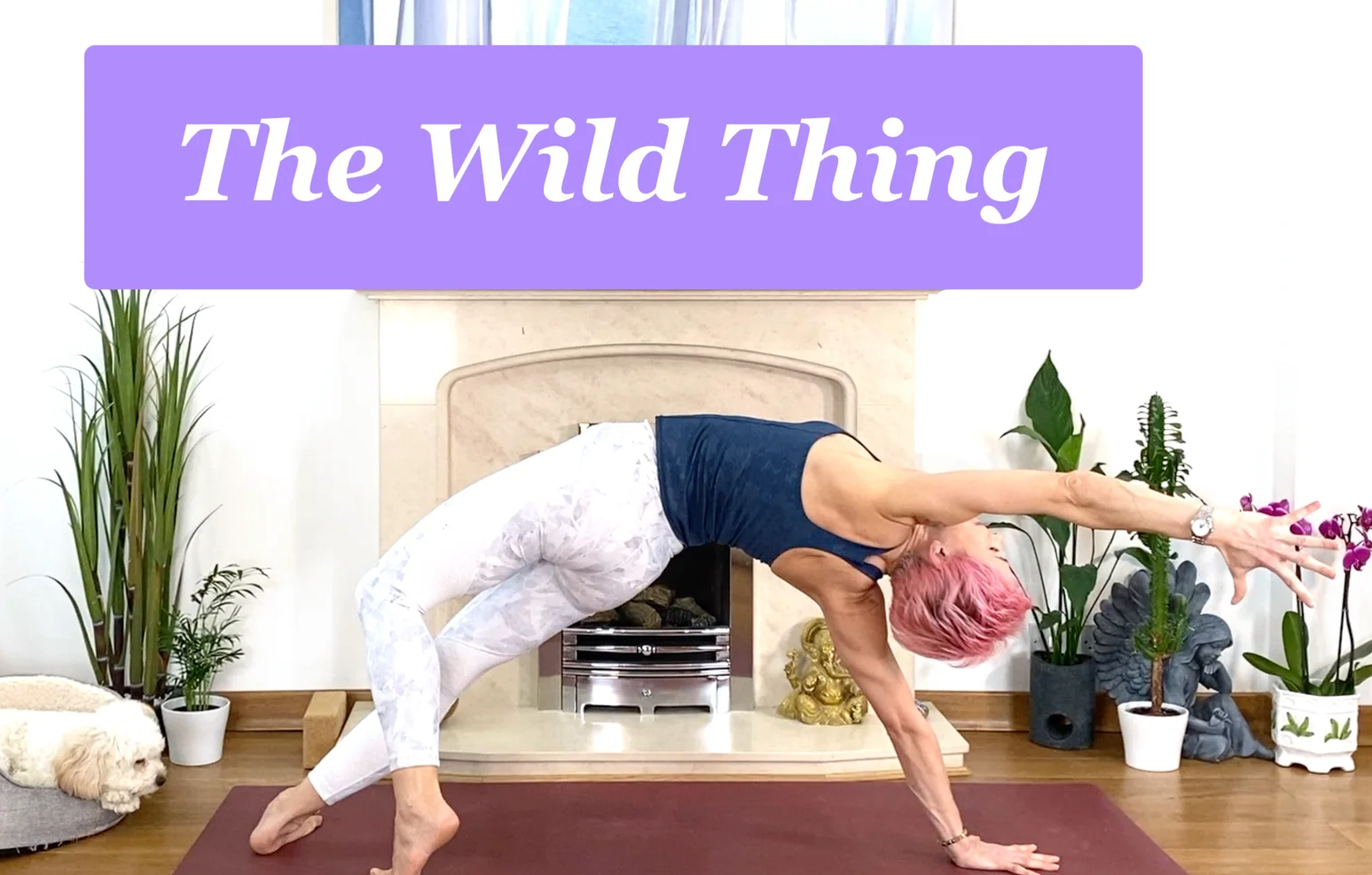 Olga Oakenfold - Asana Practice The Wild Thing