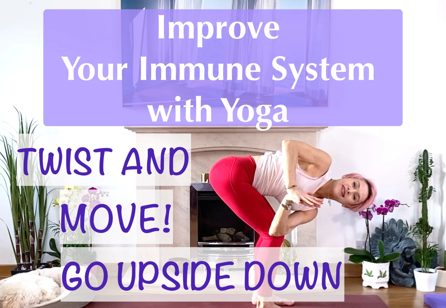 Olga Oakenfold - Improve Your Immune System. Twist & Move! Go Upside Down