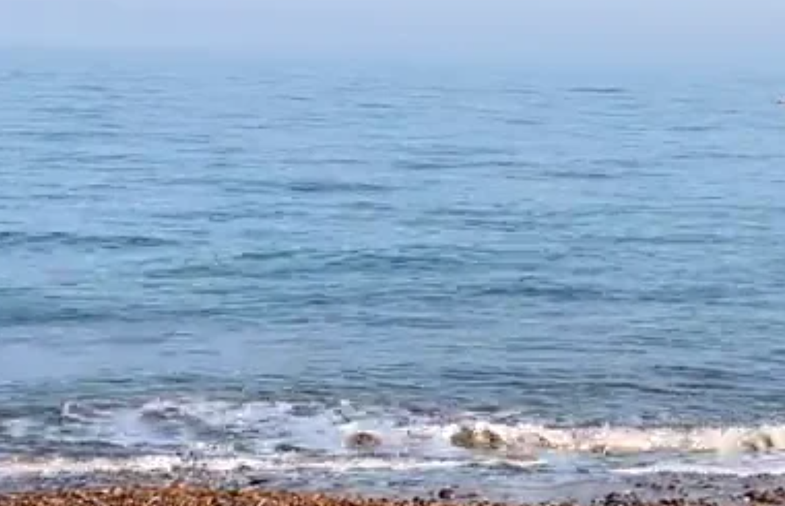 Eva Kristlova - Beach meditation