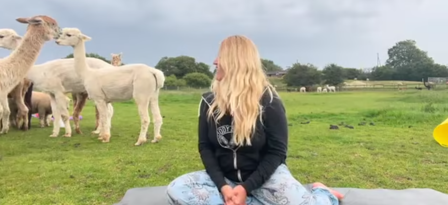 Eva Kristlova - Alpaca Yoga 2