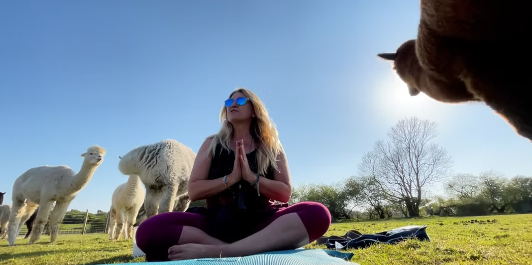 Eva Kristlova - Yoga with Alpacas - Yoga with Eva