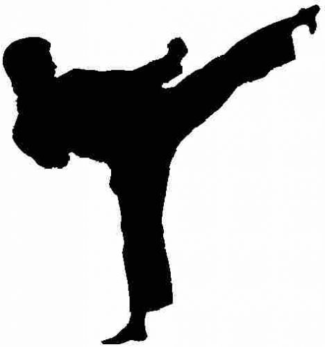 Martial Arts Karate